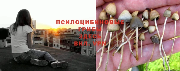 дистиллят марихуана Абинск