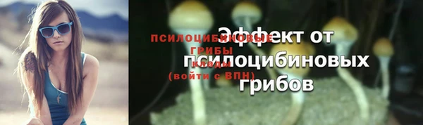 трава Абаза