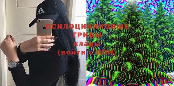 трава Абаза